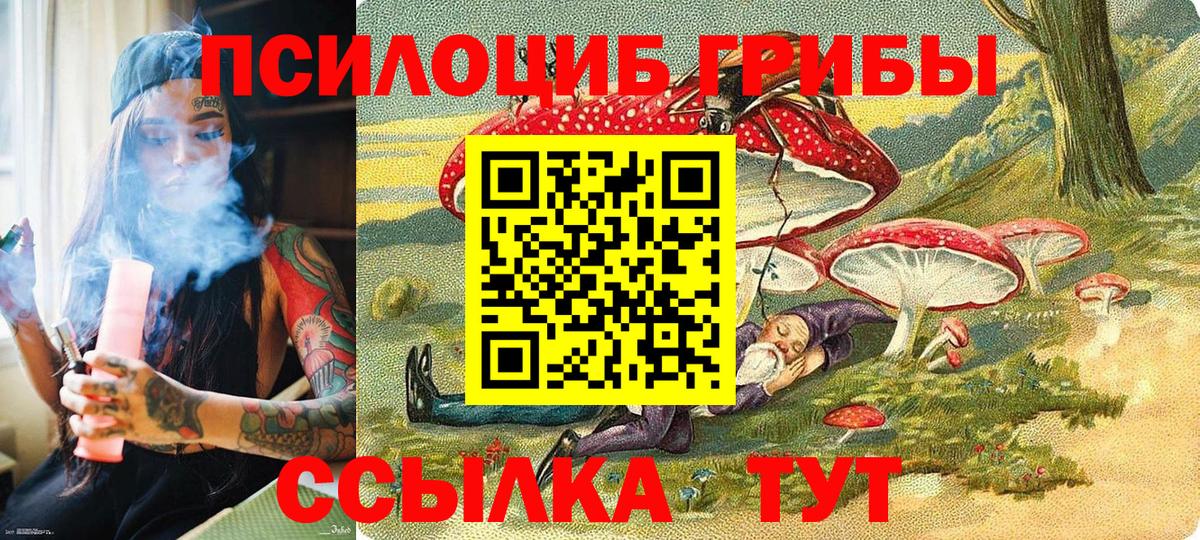 Псилоцибиновые грибы Magic Shrooms Свободный