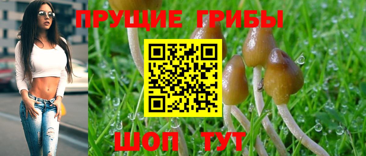 Галлюциногенные грибы Psilocybe  Галлюциногенные грибы ЛСД  Вход с VPN  Свободный 